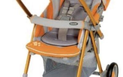 Combi walker